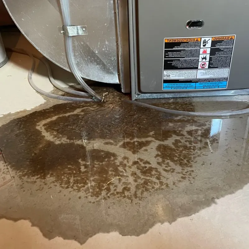 Pipe Burst and Leak Restoration in Mason, TN