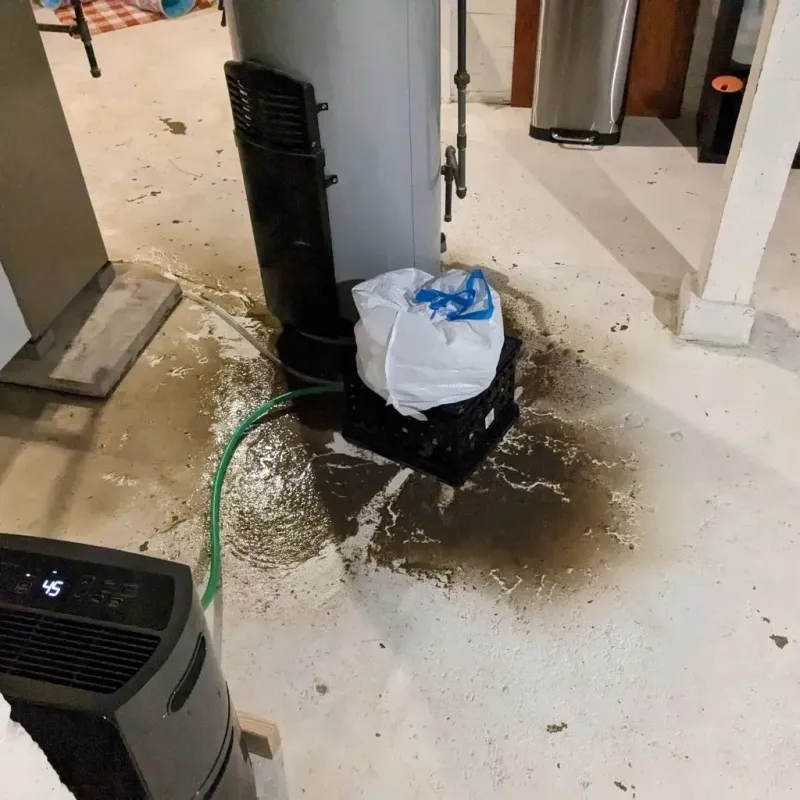 Sewage Backup Cleanup Service in Mason, TN